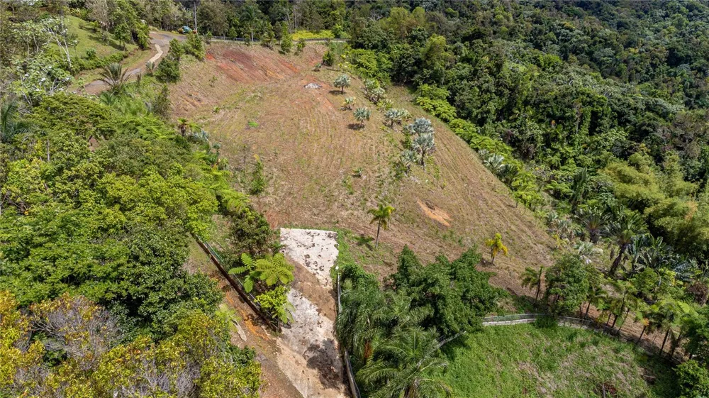 NARANJO WARD INT. PR 984 Fajardo, PR 00738