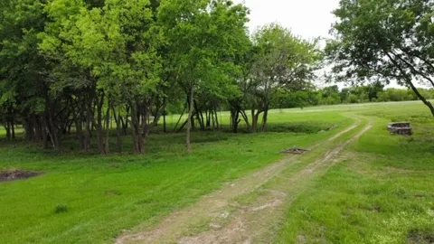 Fm-2737 Road