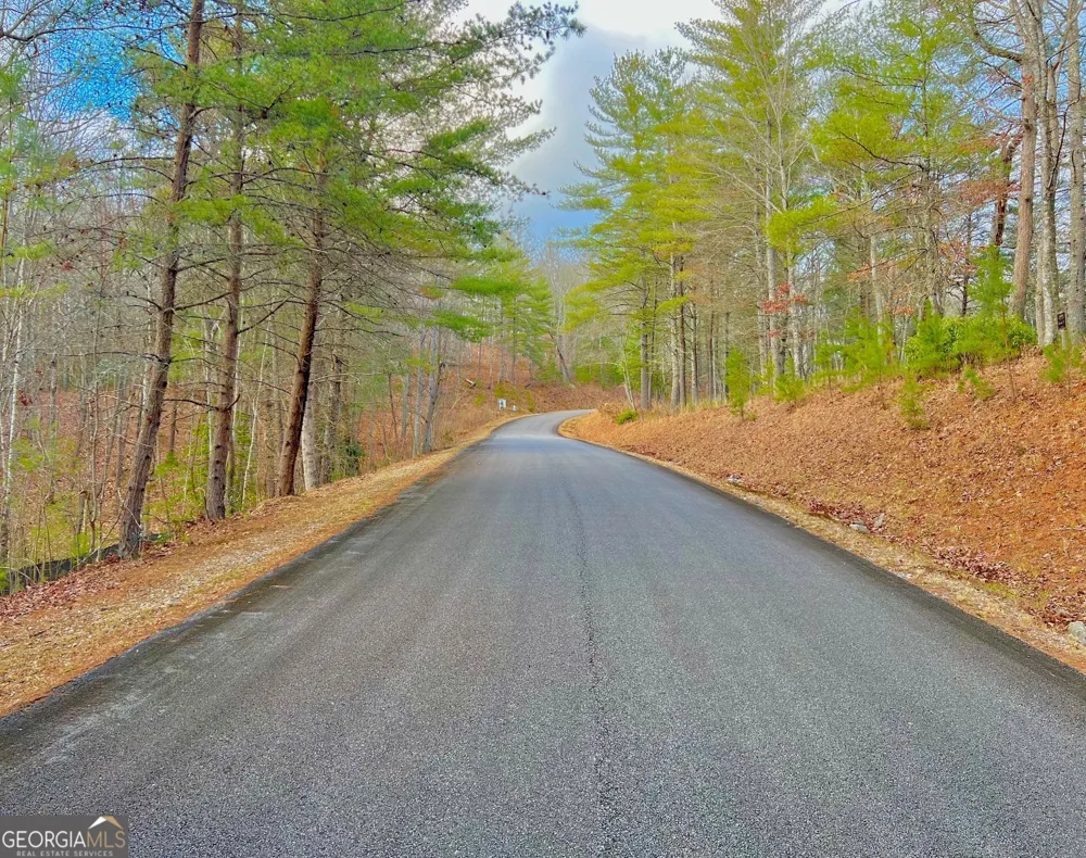 0 Hawks View Morganton, GA 30560
