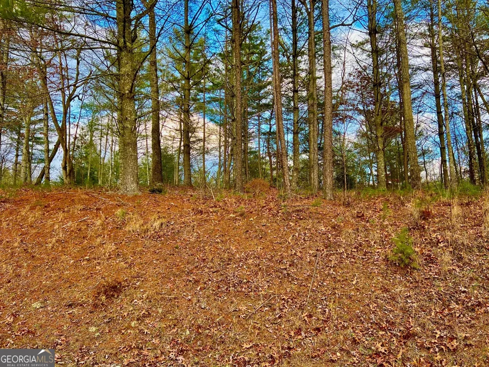 0 Hawks View Morganton, GA 30560