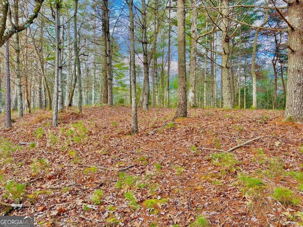 0 Hawks View Morganton, GA 30560