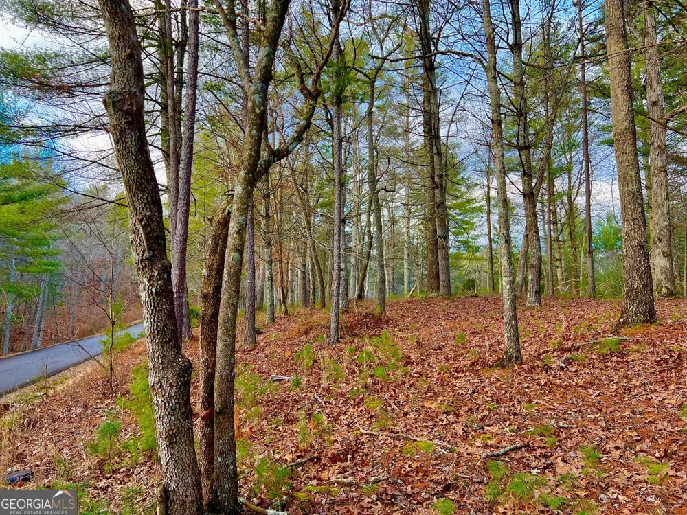 0 Hawks View Morganton, GA 30560