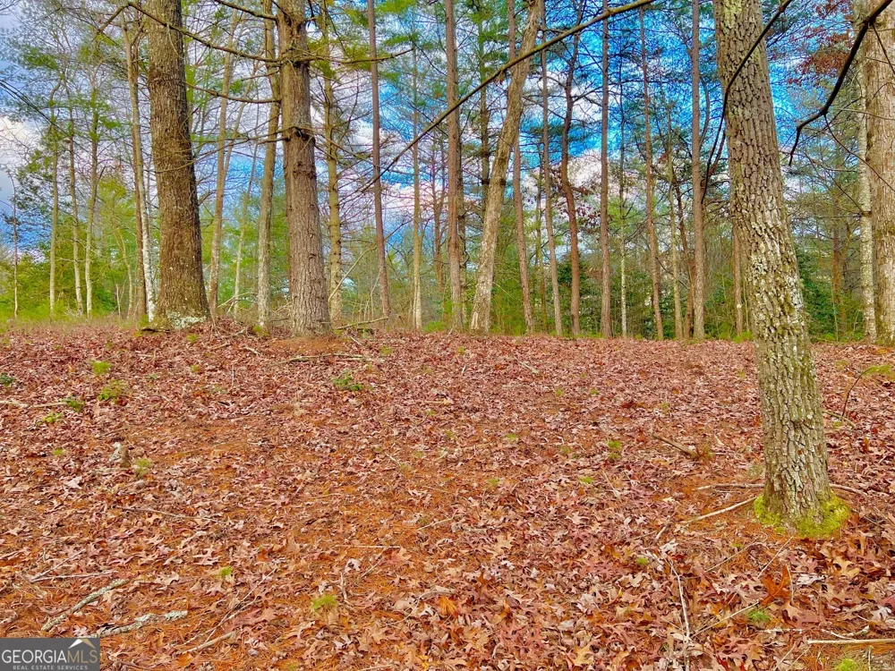 0 Hawks View Morganton, GA 30560