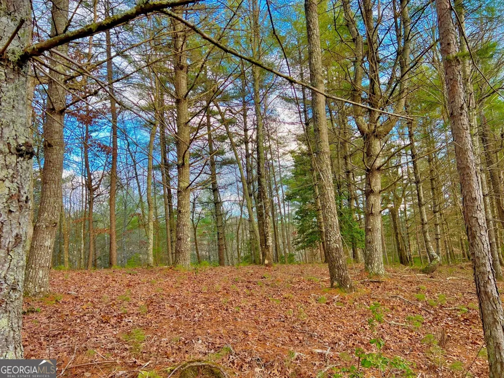0 Hawks View Morganton, GA 30560