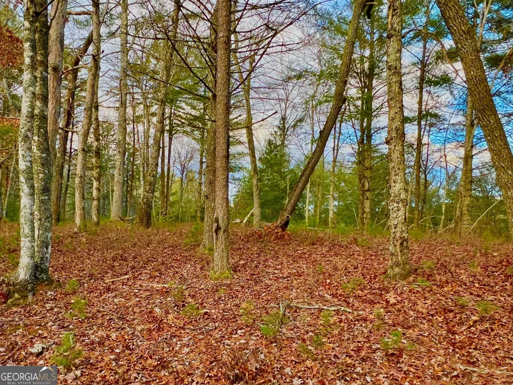 0 Hawks View Morganton, GA 30560