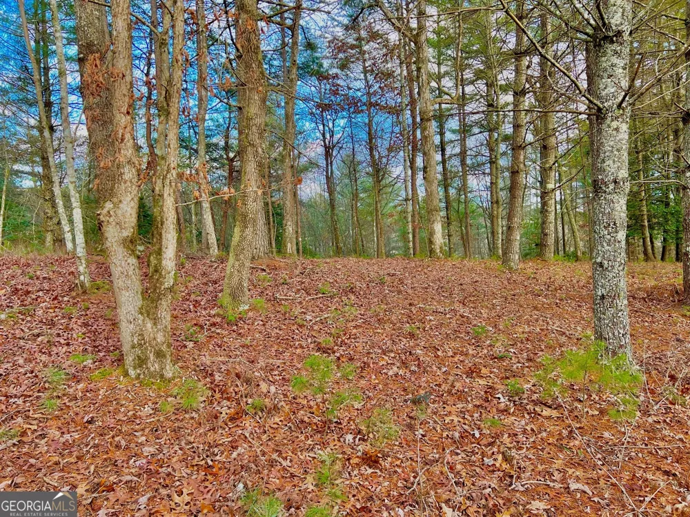 0 Hawks View Morganton, GA 30560