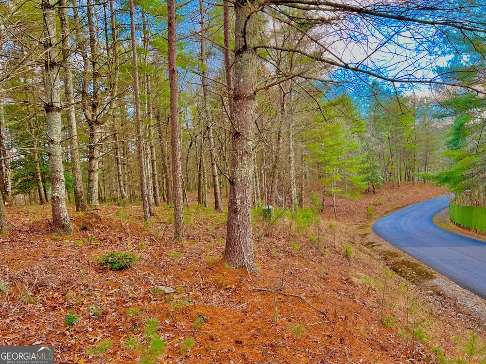 0 Hawks View Morganton, GA 30560