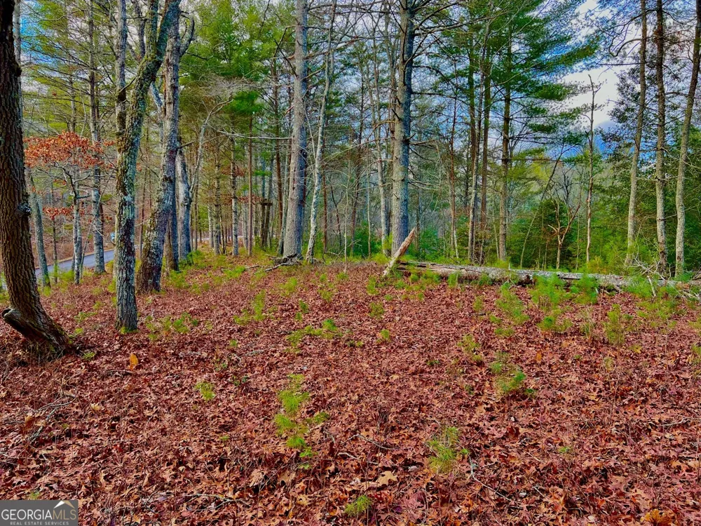 0 Hawks View Morganton, GA 30560