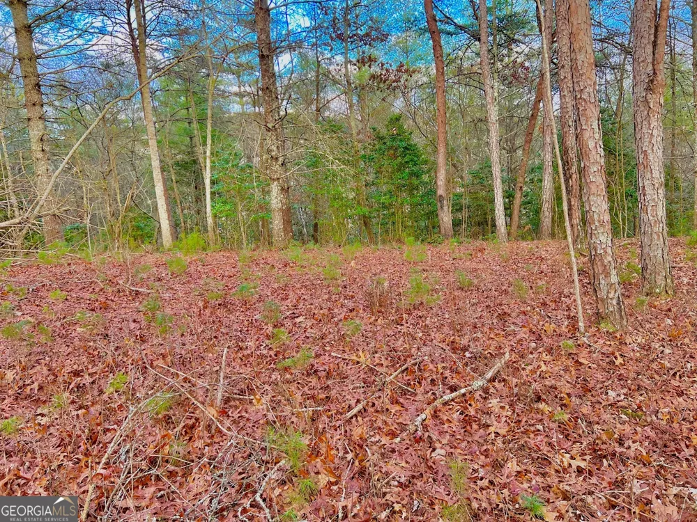 0 Hawks View Morganton, GA 30560