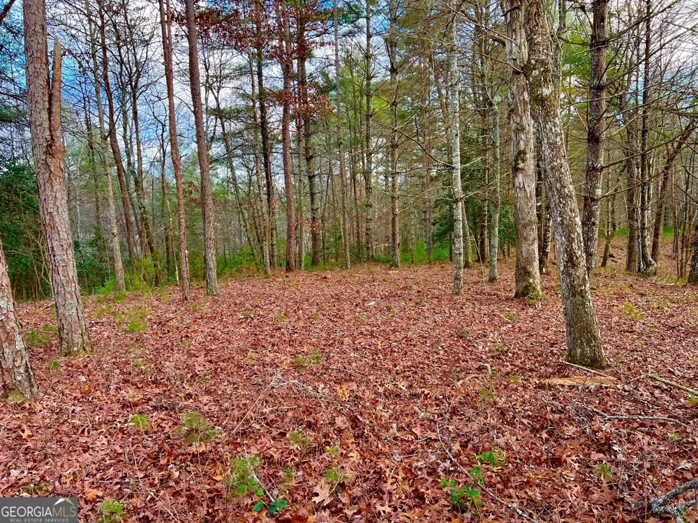 0 Hawks View Morganton, GA 30560