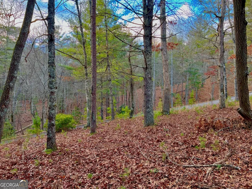 0 Hawks View Morganton, GA 30560