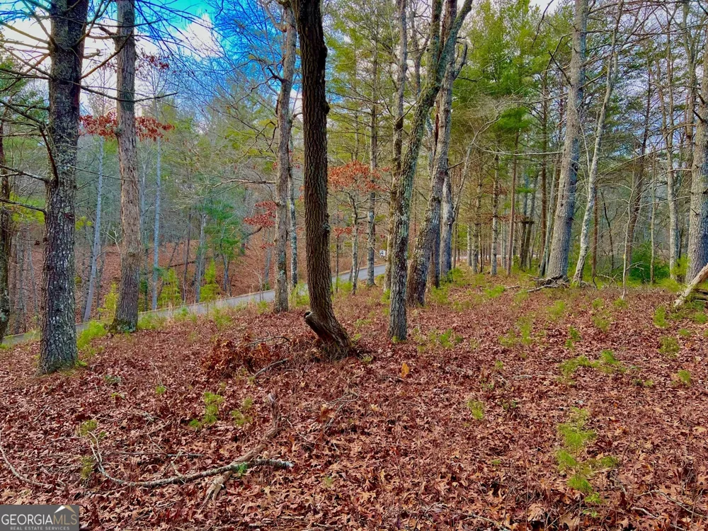 0 Hawks View Morganton, GA 30560