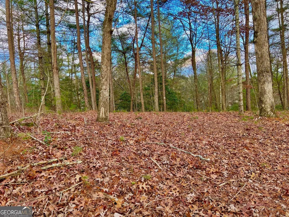 0 Hawks View Morganton, GA 30560