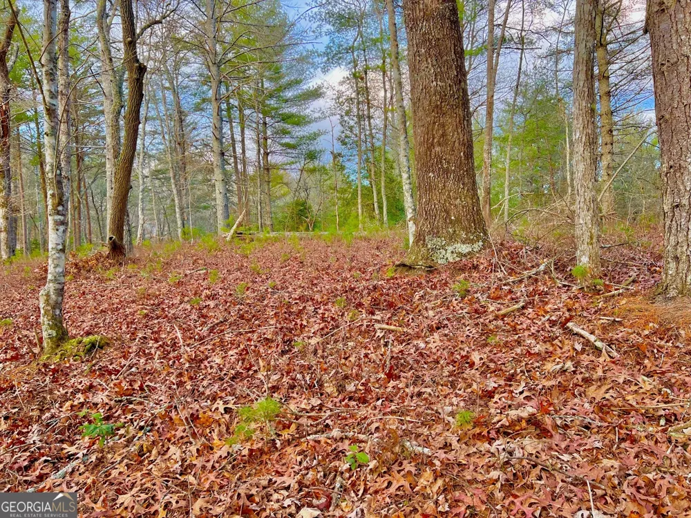 0 Hawks View Morganton, GA 30560