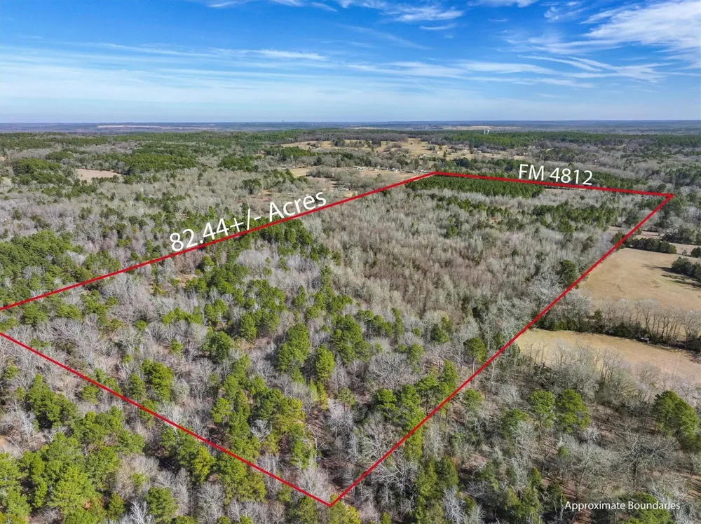 County Road 4812 Ben Wheeler, TX 75754