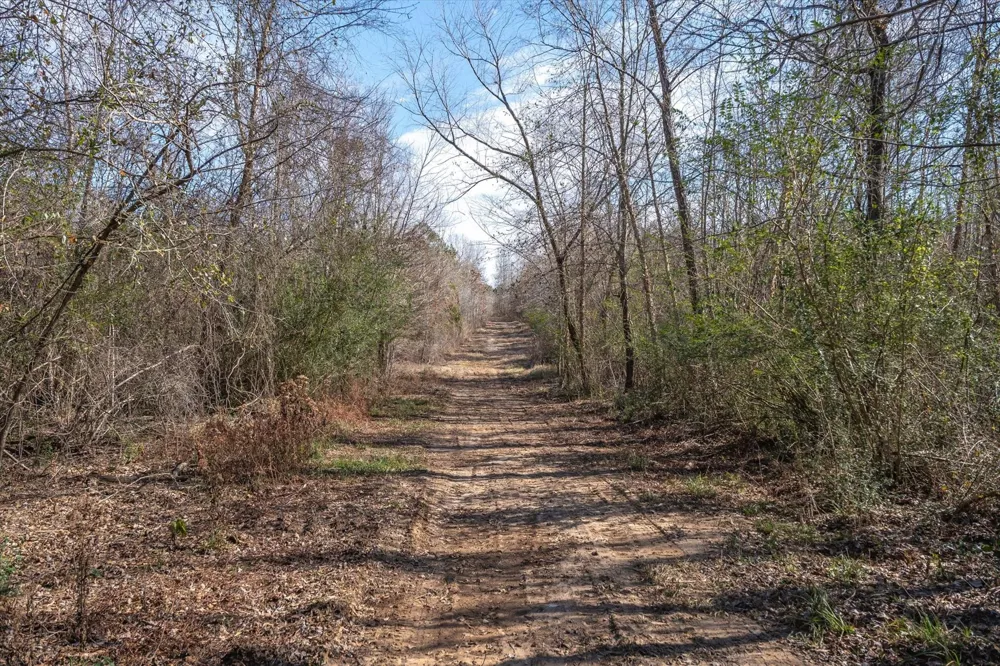 County Road 4812 Ben Wheeler, TX 75754