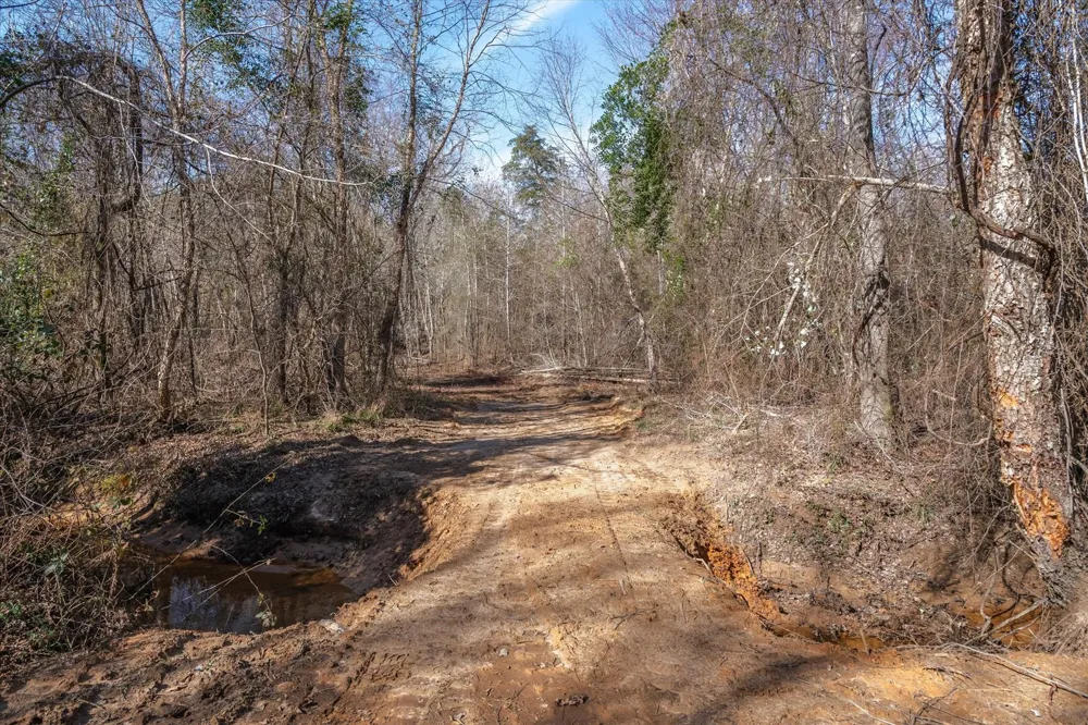 County Road 4812 Ben Wheeler, TX 75754