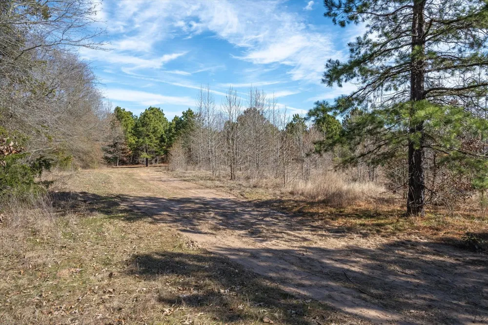 County Road 4812 Ben Wheeler, TX 75754