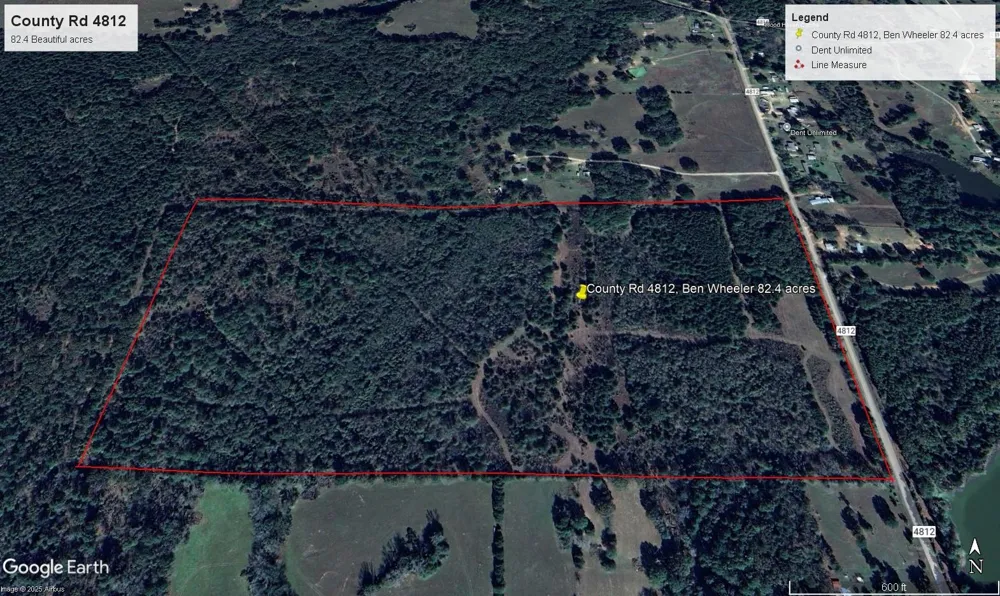 County Road 4812 Ben Wheeler, TX 75754