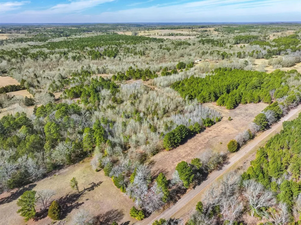 County Road 4812 Ben Wheeler, TX 75754