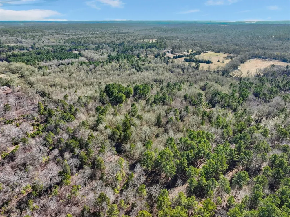 County Road 4812 Ben Wheeler, TX 75754