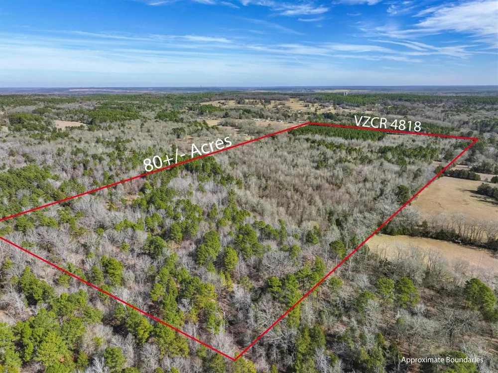 County Road 4812 Ben Wheeler, TX 75754