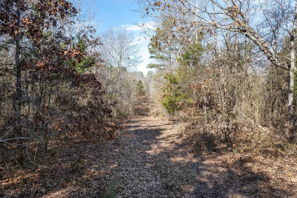 County Road 4812 Ben Wheeler, TX 75754