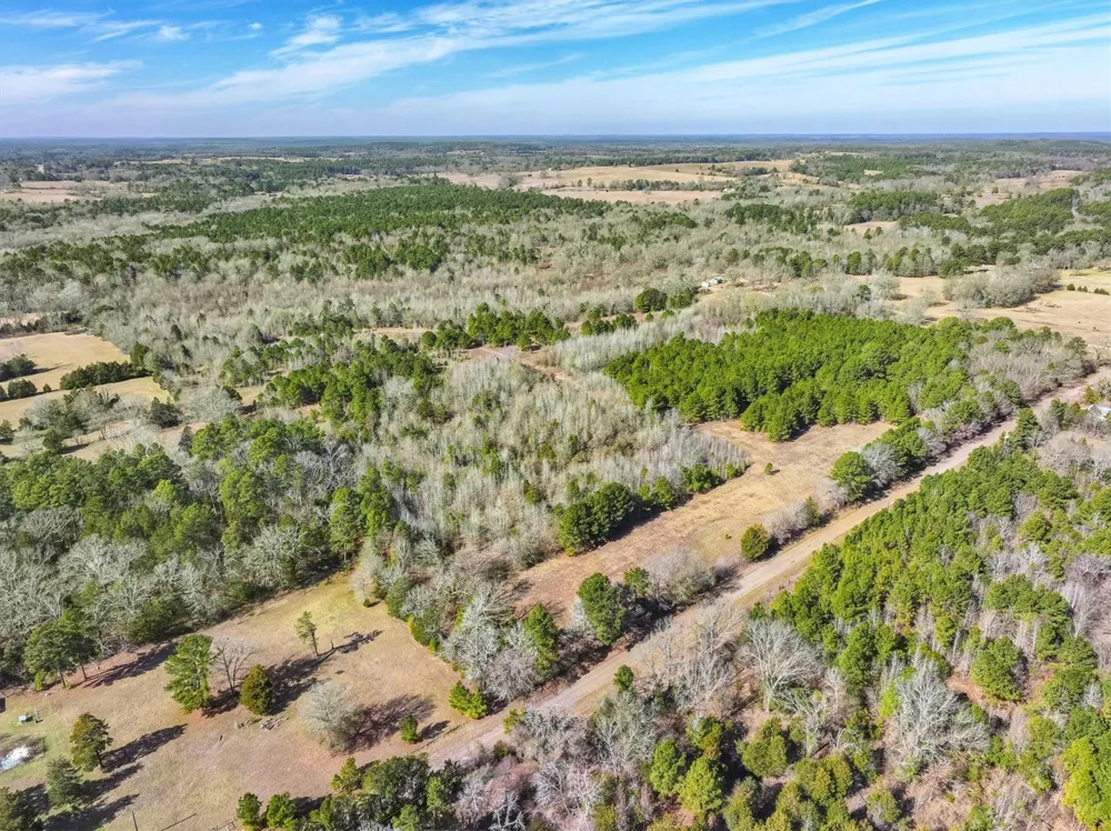 County Road 4812 Ben Wheeler, TX 75754