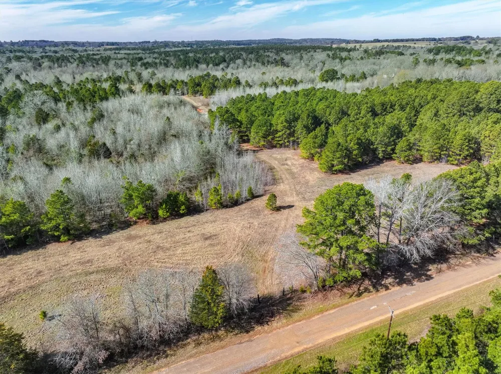 County Road 4812 Ben Wheeler, TX 75754