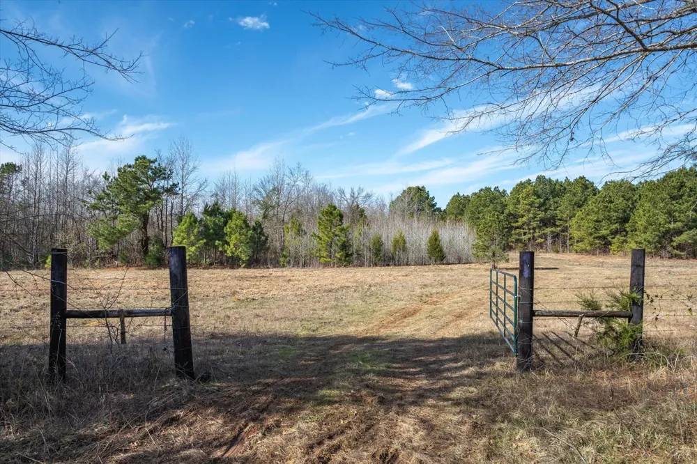 County Road 4812 Ben Wheeler, TX 75754