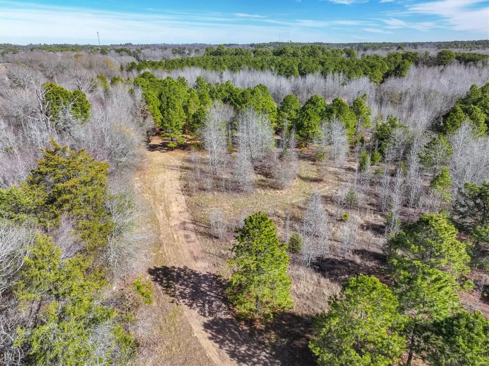 County Road 4812 Ben Wheeler, TX 75754