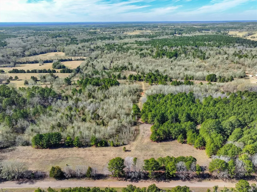 County Road 4812 Ben Wheeler, TX 75754