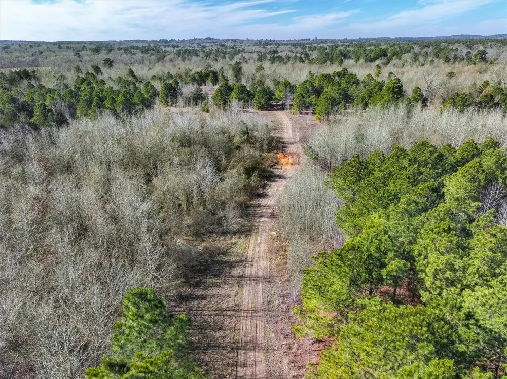 County Road 4812 Ben Wheeler, TX 75754