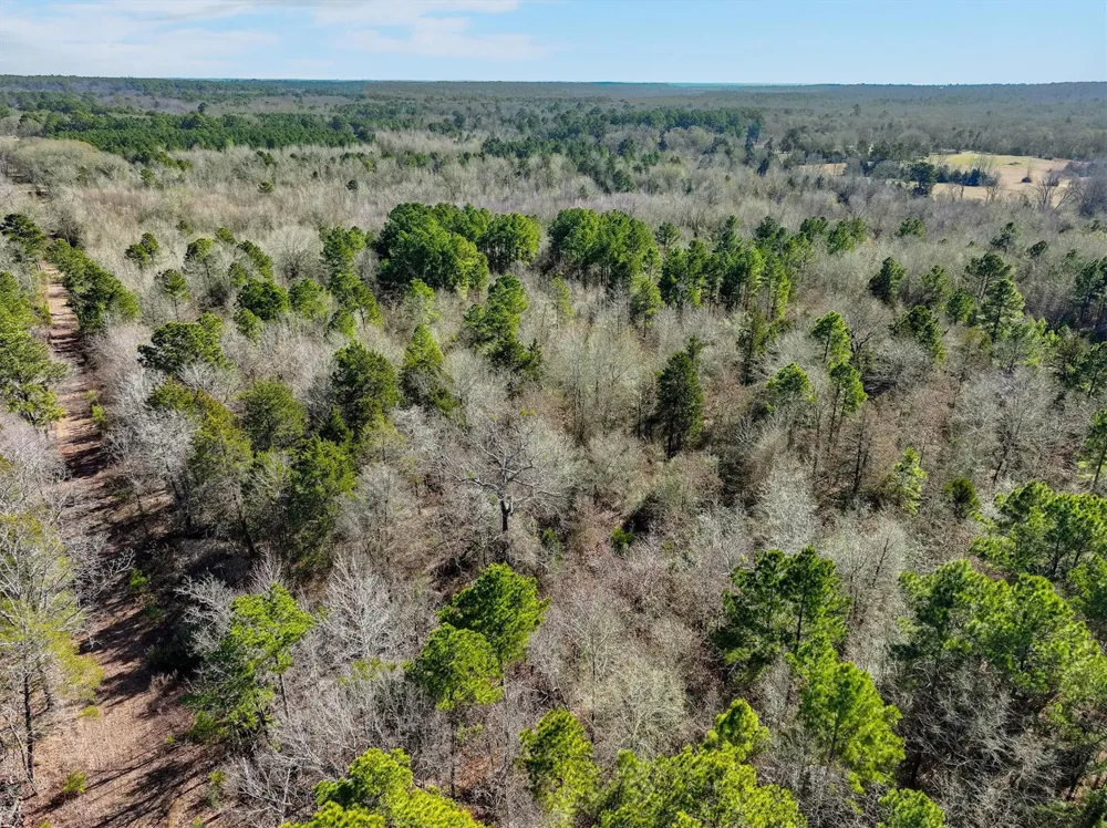 County Road 4812 Ben Wheeler, TX 75754