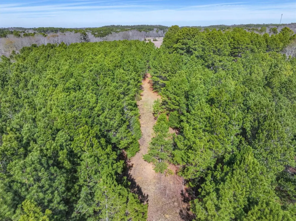County Road 4812 Ben Wheeler, TX 75754