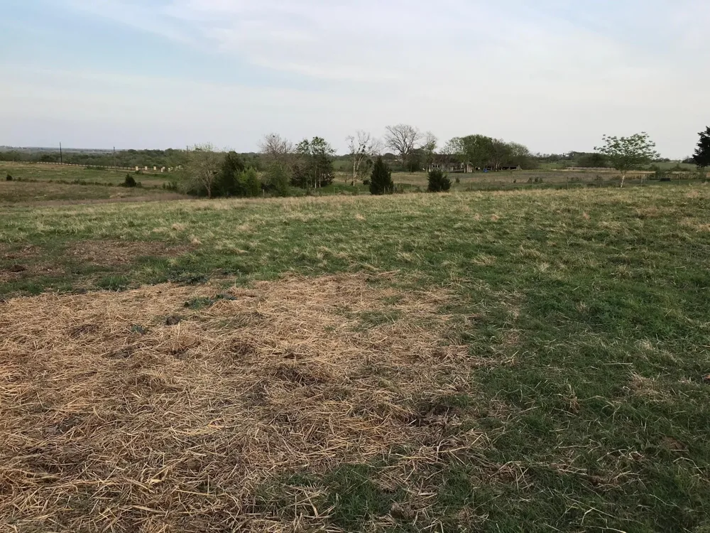 5796 Hurtig Road Bleiblerville, TX 78931