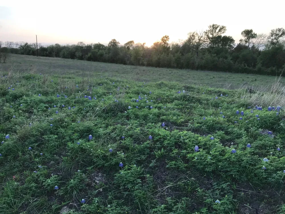 5796 Hurtig Road Bleiblerville, TX 78931