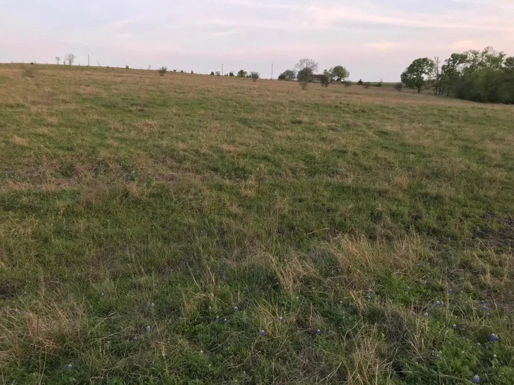 5796 Hurtig Road Bleiblerville, TX 78931