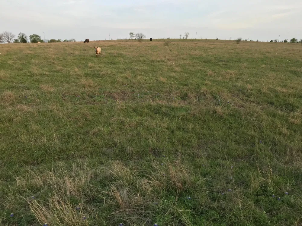 5796 Hurtig Road Bleiblerville, TX 78931
