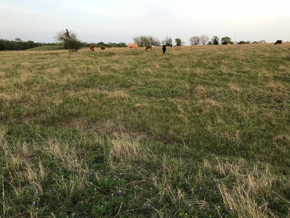 5796 Hurtig Road Bleiblerville, TX 78931