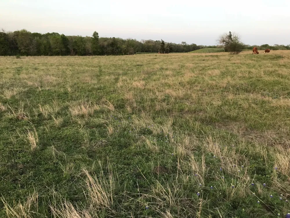 5796 Hurtig Road Bleiblerville, TX 78931