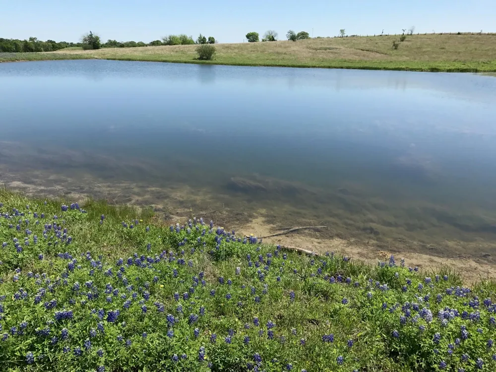 5796 Hurtig Road Bleiblerville, TX 78931