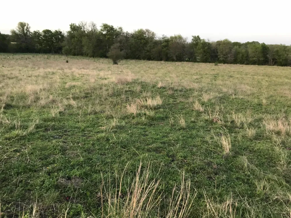 5796 Hurtig Road Bleiblerville, TX 78931