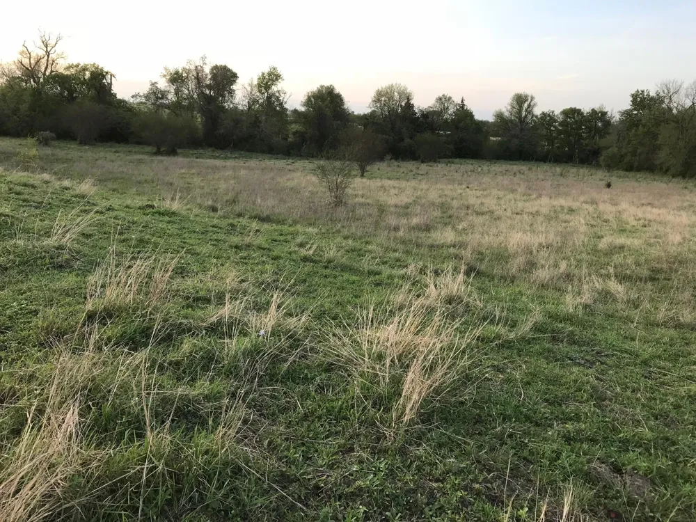 5796 Hurtig Road Bleiblerville, TX 78931