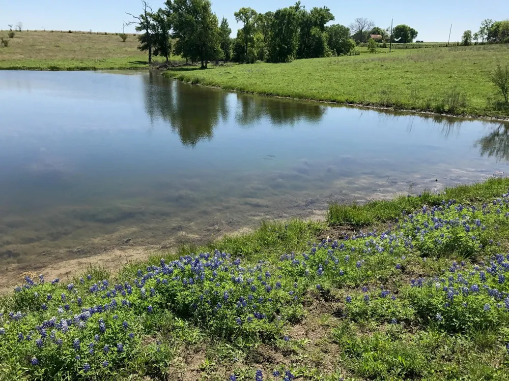 5796 Hurtig Road Bleiblerville, TX 78931