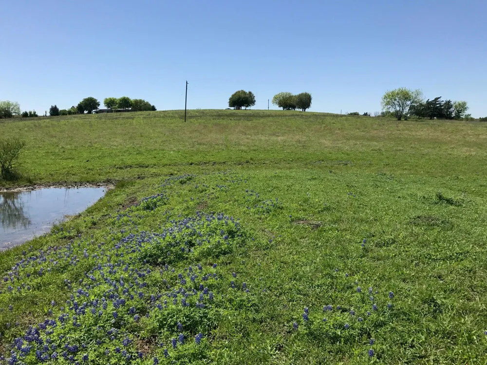 5796 Hurtig Road Bleiblerville, TX 78931