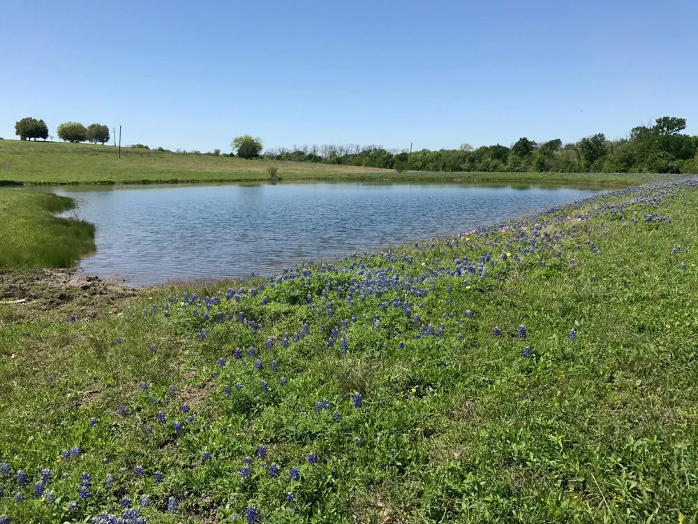 5796 Hurtig Road Bleiblerville, TX 78931