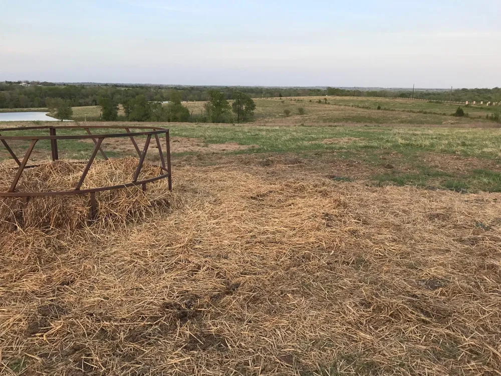 5796 Hurtig Road Bleiblerville, TX 78931