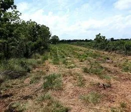 Cr-595 Angleton, TX 77515