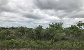 Cr-595 Angleton, TX 77515